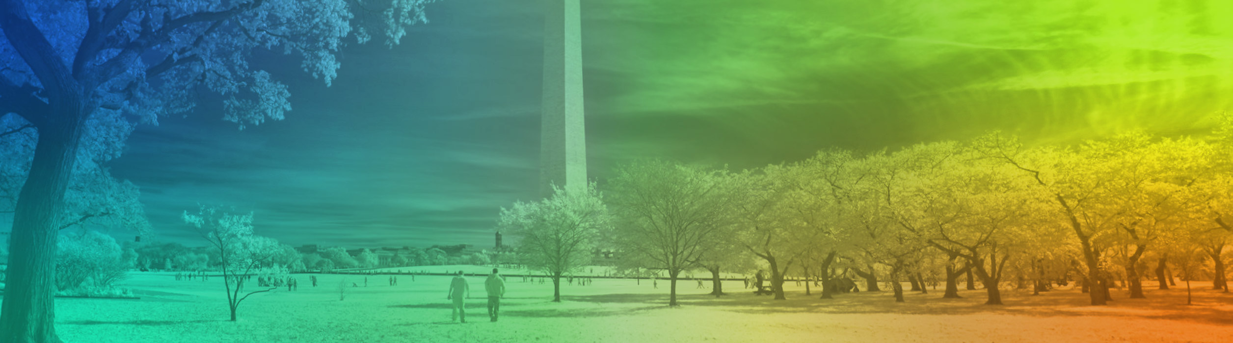 Washington DC city view